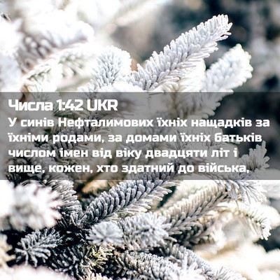 Picture 02 - Числа 1:42 UKR - У синів Нефталимових їхніх - Bible Verse Picture