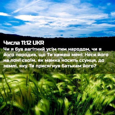 Picture 02 - Числа 11:12 UKR - Чи я був вагітний усім тим - Bible Verse Picture