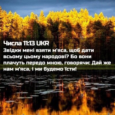 Picture 02 - Числа 11:13 UKR - Звідки мені взяти м'яса, - Bible Verse Picture