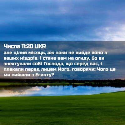 Picture 02 - Числа 11:20 UKR - але цілий місяць, аж поки - Bible Verse Picture
