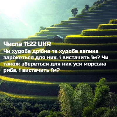 Picture 02 - Числа 11:22 UKR - Чи худоба дрібна та худоба - Bible Verse Picture