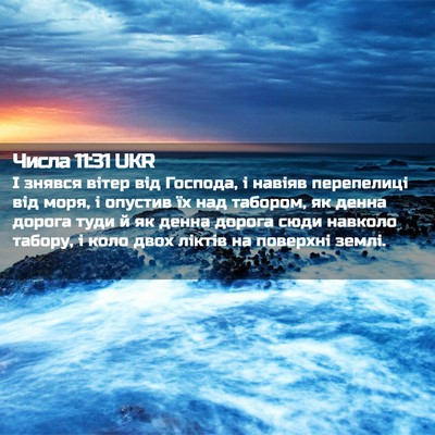 Picture 02 - Числа 11:31 UKR - І знявся вітер від Господа, - Bible Verse Picture
