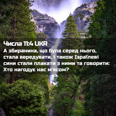 Picture 02 - Числа 11:4 UKR - А збиранина, що була серед - Bible Verse Picture