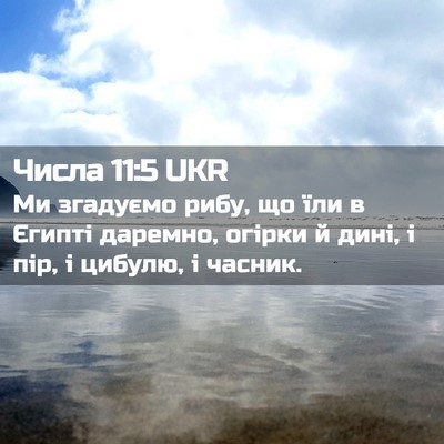 Picture 02 - Числа 11:5 UKR - Ми згадуємо рибу, що їли в - Bible Verse Picture