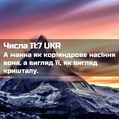 Picture 02 - Числа 11:7 UKR - А манна як коріяндрове - Bible Verse Picture
