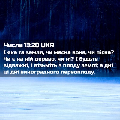 Picture 02 - Числа 13:20 UKR - І яка та земля, чи масна - Bible Verse Picture