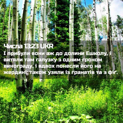 Picture 02 - Числа 13:23 UKR - І прибули вони аж до долини - Bible Verse Picture