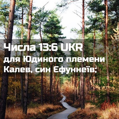 Picture 02 - Числа 13:6 UKR - для Юдиного племени Калев, - Bible Verse Picture