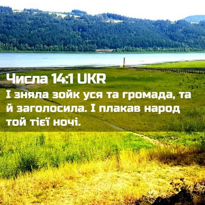 Picture 02 - Числа 14:1 UKR - І зняла зойк уся та - Bible Verse Picture