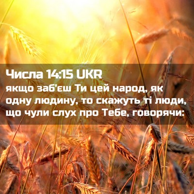 Picture 02 - Числа 14:15 UKR - якщо заб'єш Ти цей народ, як - Bible Verse Picture