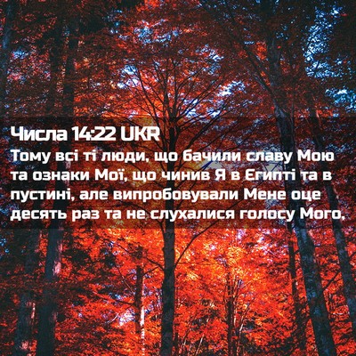 Picture 02 - Числа 14:22 UKR - Тому всі ті люди, що бачили - Bible Verse Picture