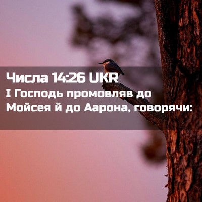 Picture 02 - Числа 14:26 UKR - І Господь промовляв до - Bible Verse Picture