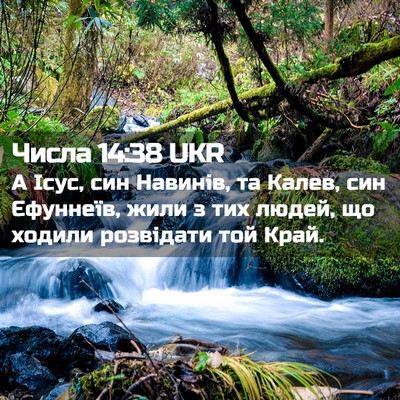 Picture 02 - Числа 14:38 UKR - А Ісус, син Навинів, та - Bible Verse Picture