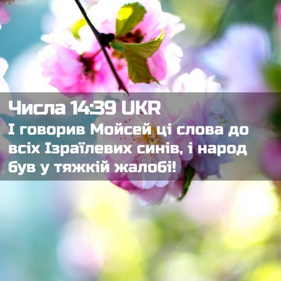 Picture 02 - Числа 14:39 UKR - І говорив Мойсей ці слова - Bible Verse Picture