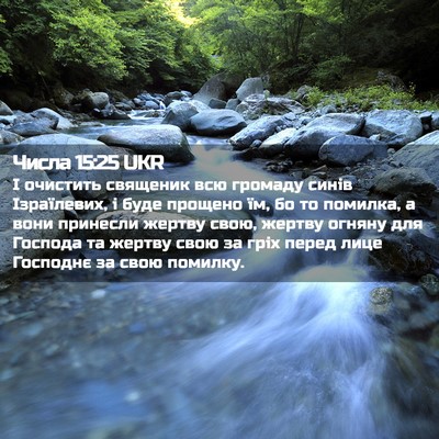 Picture 02 - Числа 15:25 UKR - І очистить священик всю - Bible Verse Picture