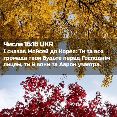 Picture 02 - Числа 16:16 UKR - І сказав Мойсей до Корея: - Bible Verse Picture