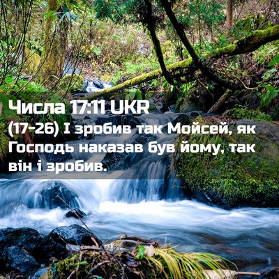 Picture 02 - Числа 17:11 UKR - (17-26) І зробив так Мойсей, як - Bible Verse Picture
