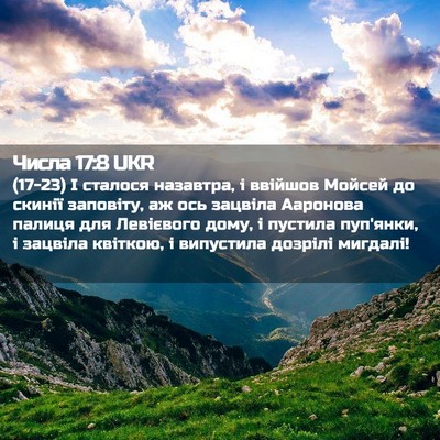 Picture 02 - Числа 17:8 UKR - (17-23) І сталося назавтра, і - Bible Verse Picture