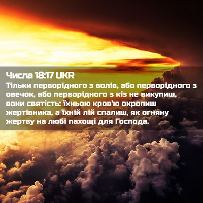 Picture 02 - Числа 18:17 UKR - Тільки перворідного з - Bible Verse Picture