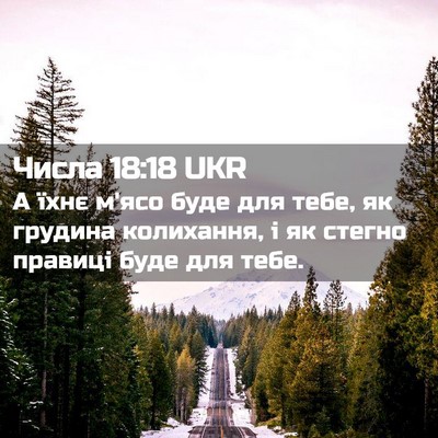 Picture 02 - Числа 18:18 UKR - А їхнє м'ясо буде для тебе, - Bible Verse Picture