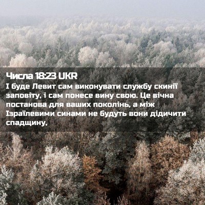 Picture 02 - Числа 18:23 UKR - І буде Левит сам - Bible Verse Picture