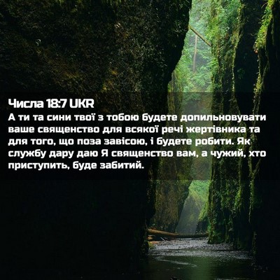 Picture 02 - Числа 18:7 UKR - А ти та сини твої з тобою - Bible Verse Picture