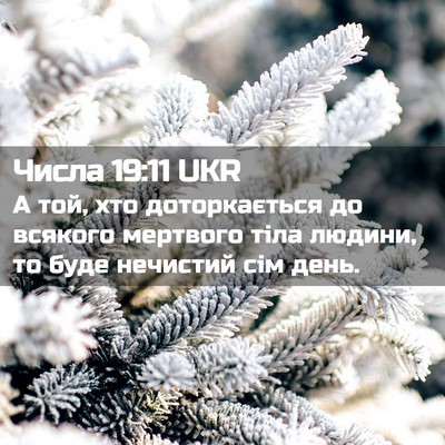 Picture 02 - Числа 19:11 UKR - А той, хто доторкається до - Bible Verse Picture