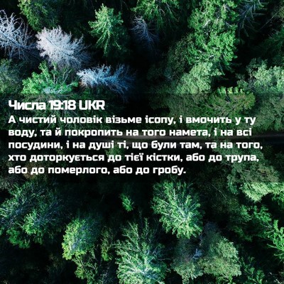 Picture 02 - Числа 19:18 UKR - А чистий чоловік візьме - Bible Verse Picture
