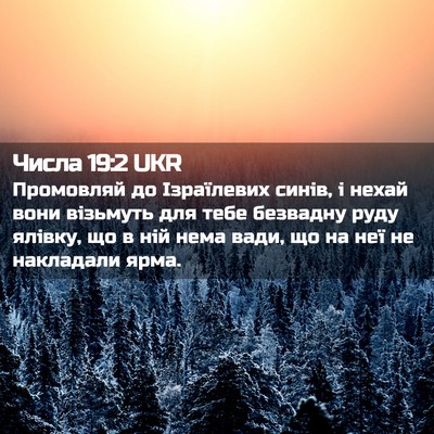 Picture 02 - Числа 19:2 UKR - Промовляй до Ізраїлевих - Bible Verse Picture