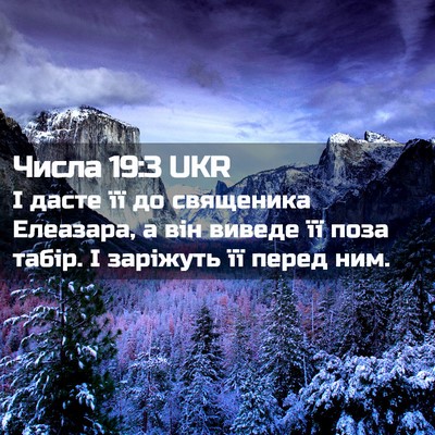 Picture 02 - Числа 19:3 UKR - І дасте її до священика - Bible Verse Picture