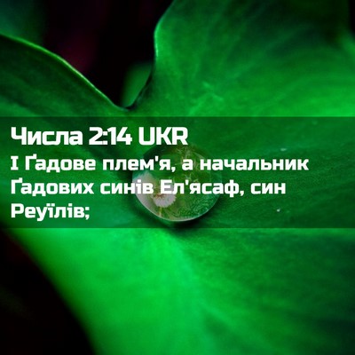 Picture 02 - Числа 2:14 UKR - І Ґадове плем'я, а - Bible Verse Picture