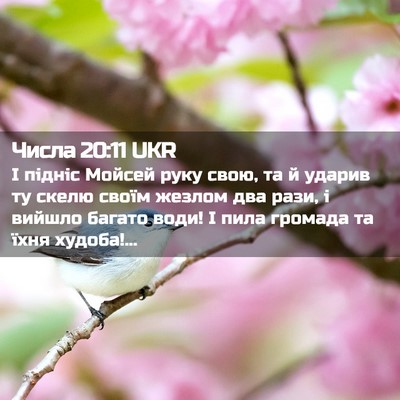 Picture 02 - Числа 20:11 UKR - І підніс Мойсей руку свою, - Bible Verse Picture