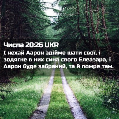 Picture 02 - Числа 20:26 UKR - І нехай Аарон здійме шати - Bible Verse Picture