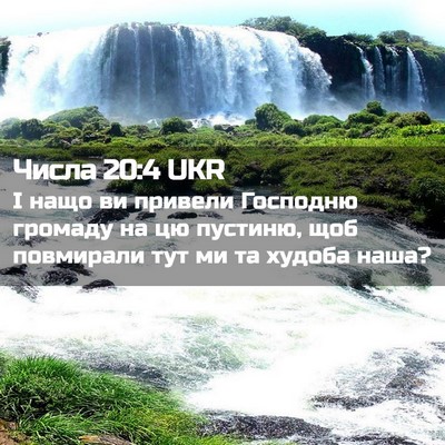 Picture 02 - Числа 20:4 UKR - І нащо ви привели Господню - Bible Verse Picture