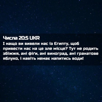Picture 02 - Числа 20:5 UKR - І нащо ви вивели нас із - Bible Verse Picture