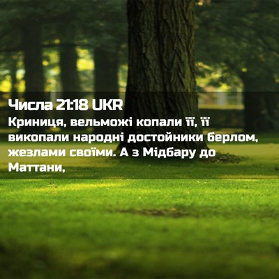 Picture 02 - Числа 21:18 UKR - Криниця, вельможі копали - Bible Verse Picture