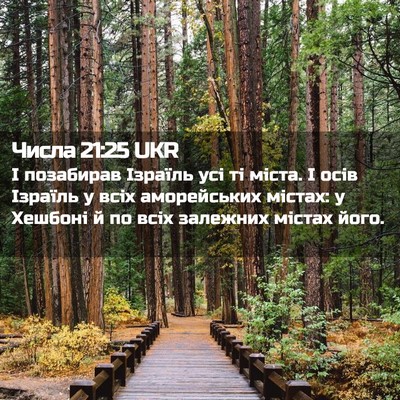 Picture 02 - Числа 21:25 UKR - І позабирав Ізраїль усі ті - Bible Verse Picture