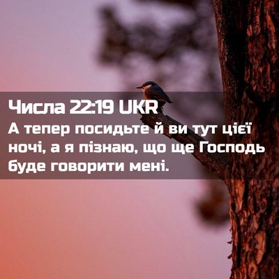 Picture 02 - Числа 22:19 UKR - А тепер посидьте й ви тут - Bible Verse Picture