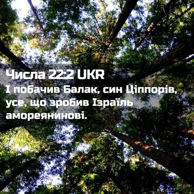 Picture 02 - Числа 22:2 UKR - І побачив Балак, син - Bible Verse Picture