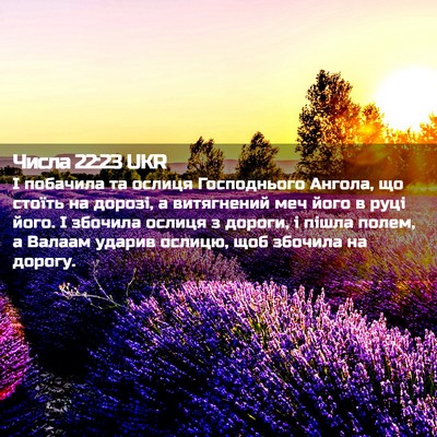 Picture 02 - Числа 22:23 UKR - І побачила та ослиця - Bible Verse Picture