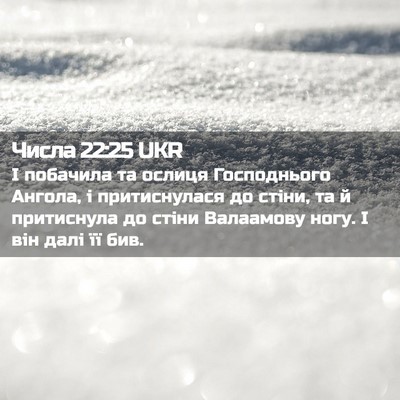 Picture 02 - Числа 22:25 UKR - І побачила та ослиця - Bible Verse Picture