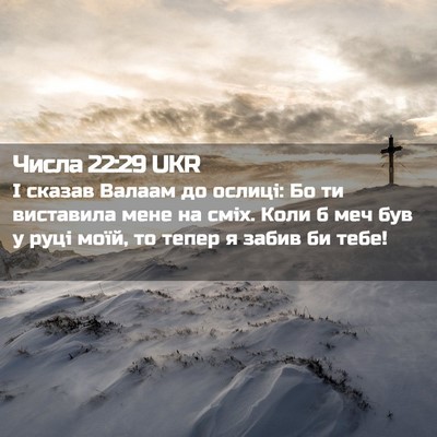 Picture 02 - Числа 22:29 UKR - І сказав Валаам до ослиці: - Bible Verse Picture