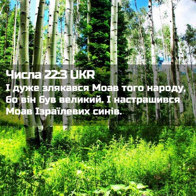 Picture 02 - Числа 22:3 UKR - І дуже злякався Моав того - Bible Verse Picture