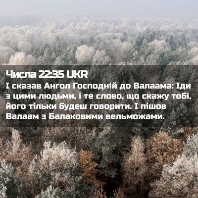 Picture 02 - Числа 22:35 UKR - І сказав Ангол Господній - Bible Verse Picture