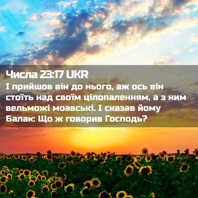 Picture 02 - Числа 23:17 UKR - І прийшов він до нього, аж - Bible Verse Picture