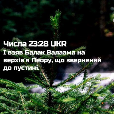 Picture 02 - Числа 23:28 UKR - І взяв Балак Валаама на - Bible Verse Picture