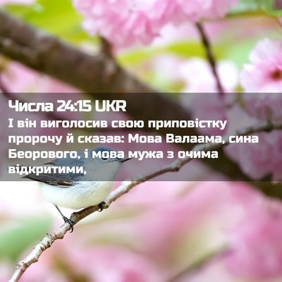 Picture 02 - Числа 24:15 UKR - І він виголосив свою - Bible Verse Picture