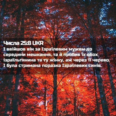 Picture 02 - Числа 25:8 UKR - І ввійшов він за - Bible Verse Picture