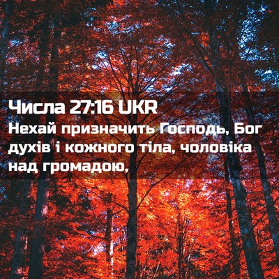 Picture 02 - Числа 27:16 UKR - Нехай призначить Господь, - Bible Verse Picture