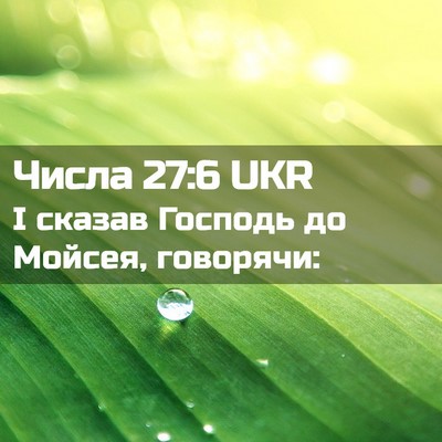 Picture 02 - Числа 27:6 UKR - І сказав Господь до Мойсея, - Bible Verse Picture